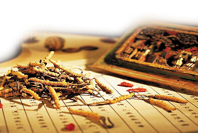 以后中医药养生将怎样效劳黎民生涯？？？？？？