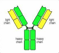 亿万先生mr·(中国区)官方网站