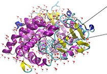 2009年5月亿万先生mr加入了上海国际卵白质及多肽工业展览会