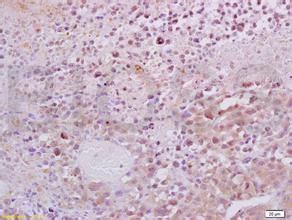 亿万先生mr·(中国区)官方网站