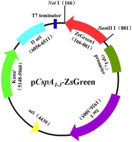 亿万先生mr·(中国区)官方网站
