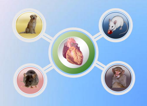 亿万先生mr·(中国区)官方网站