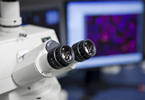 改委监控三类药价，，，，，本钱价视察将启动