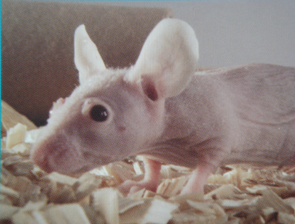 亿万先生mr·(中国区)官方网站