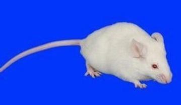 亿万先生mr·(中国区)官方网站