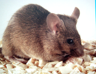 亿万先生mr·(中国区)官方网站