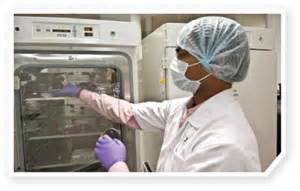 10月17日，，，，，陈春麟博士将加入2012岛津全球制药峰会