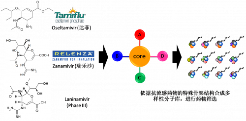 图2：以现有抗流感药物的结构为基。。。。。。。。，举行多样性药物分子库的合成。。。。。。。。