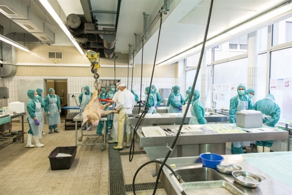 6月21号亿万先生mr主理2012年生物手艺药物（卵白质/抗体）立异生长论坛