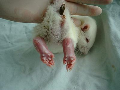 亿万先生mr·(中国区)官方网站