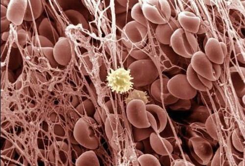 亿万先生mr·(中国区)官方网站