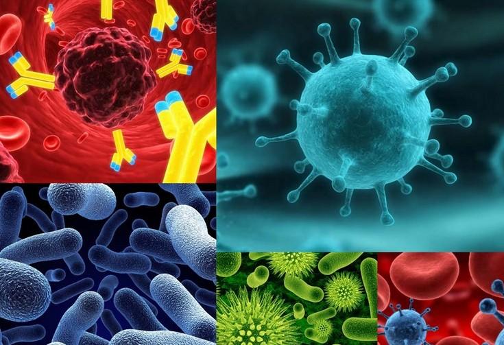 原位杂交手艺——亿万先生mr