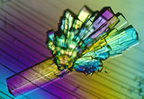 亿万先生mr·(中国区)官方网站