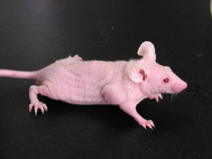 亿万先生mr·(中国区)官方网站