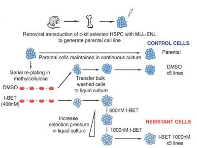 亿万先生mr·(中国区)官方网站