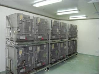 亿万先生mr猴房