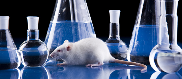 亿万先生mr·(中国区)官方网站