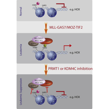 亿万先生mr·(中国区)官方网站