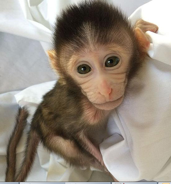 亿万先生mr·(中国区)官方网站