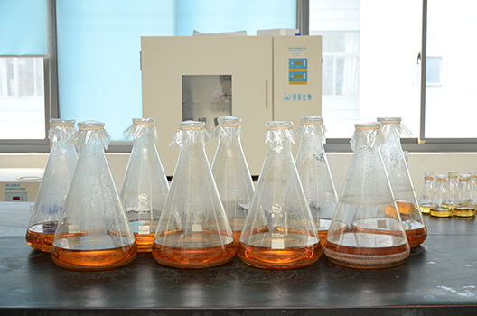 亿万先生mr制剂中心GMP中试车间完工