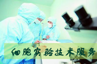 亿万先生mr细胞实验效劳外包