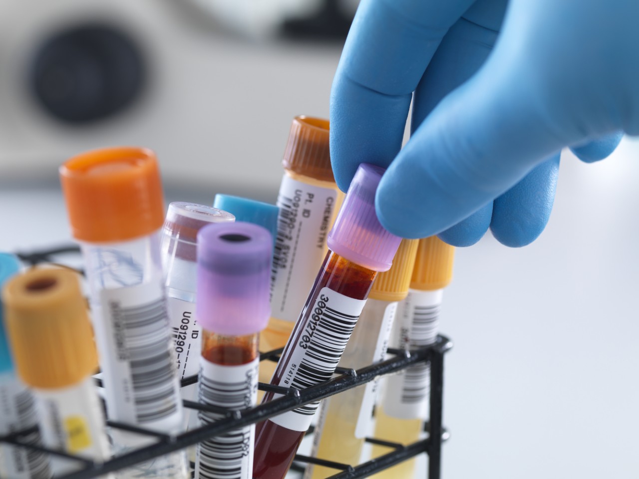 “溶出”照旧“BE”，，，，，作甚临床疗效“金标准”