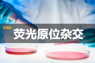 亿万先生mr荧光原位杂交手艺