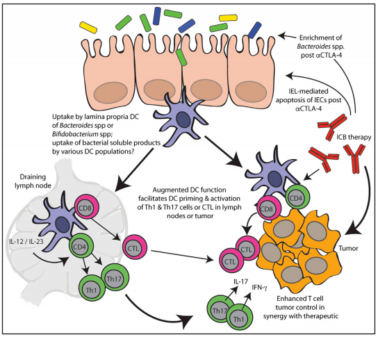 亿万先生mr·(中国区)官方网站