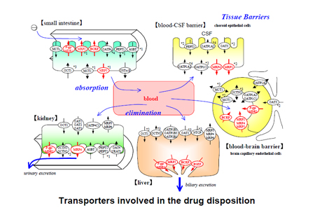 亿万先生mr·(中国区)官方网站