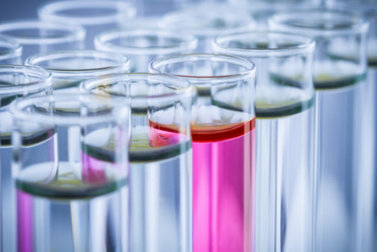 下一家引疯抢的生物手艺公司是谁？？？？？？？