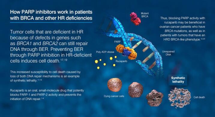亿万先生mr·(中国区)官方网站