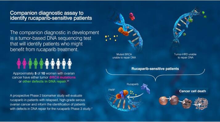 亿万先生mr·(中国区)官方网站