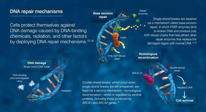亿万先生mr·(中国区)官方网站