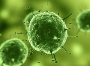 Nature：治疗实体瘤有了明确靶标，，，，，，肿瘤干细胞确实保存