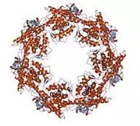 亿万先生mr·(中国区)官方网站