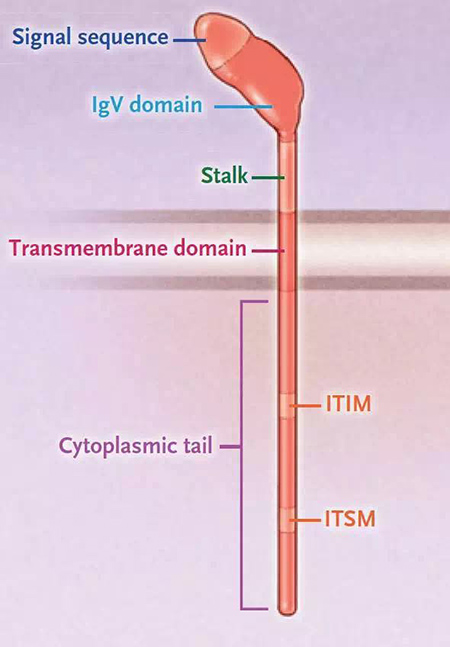 亿万先生mr·(中国区)官方网站