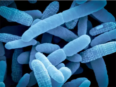 亿万先生mr·(中国区)官方网站