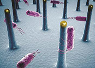 未来的药丸里，，，，，，，可能有一万亿小我私家工刷新的细菌？？？？？？？