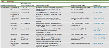 亿万先生mr·(中国区)官方网站