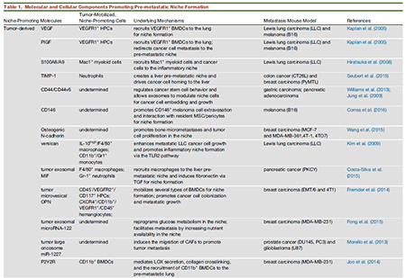 亿万先生mr·(中国区)官方网站