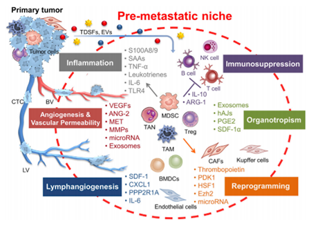亿万先生mr·(中国区)官方网站