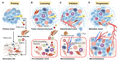 亿万先生mr·(中国区)官方网站