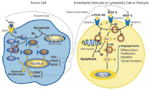 亿万先生mr·(中国区)官方网站
