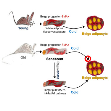 亿万先生mr·(中国区)官方网站