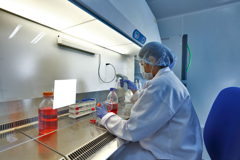 单品种用度或达万万？？？？？？？一致性评价尚有这四大“坎”