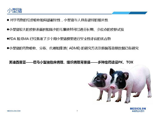 皮肤涂抹试验中，，，，，，，受试动物选择小型猪更好