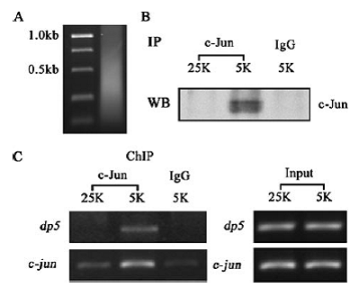 亿万先生mr·(中国区)官方网站