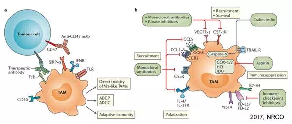 亿万先生mr·(中国区)官方网站