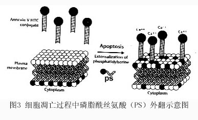 亿万先生mr·(中国区)官方网站