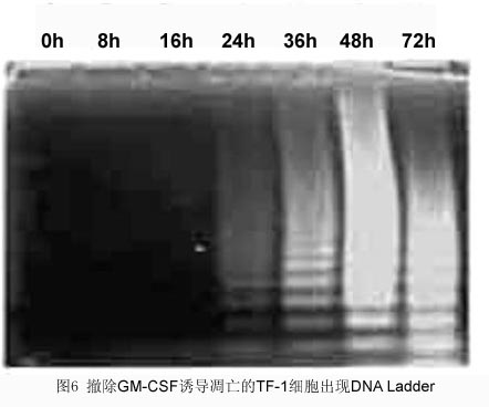 亿万先生mr·(中国区)官方网站